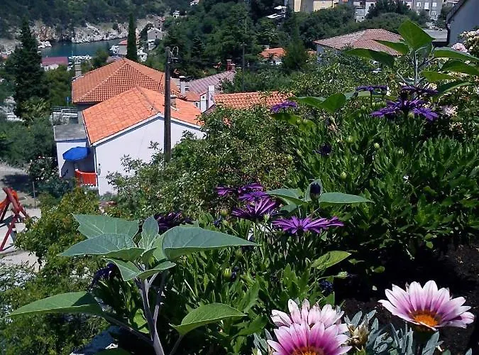 6 Apartman Vrbnik (Primorje-Gorski Kotar)
